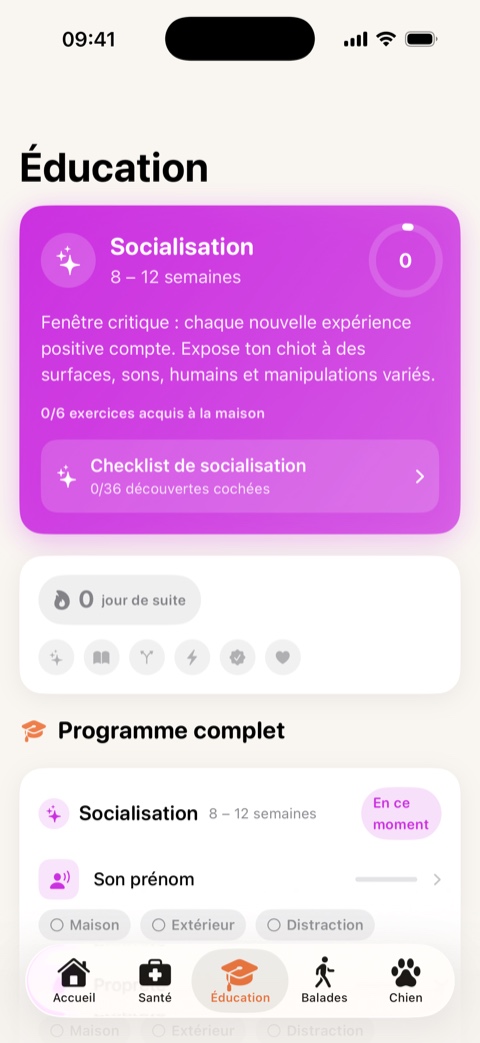 Écran Éducation : phase de socialisation 8-12 semaines et checklist de découvertes.